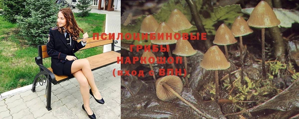2c-b Михайлов