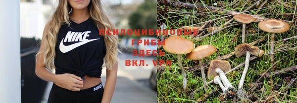 наркотики Михайловка