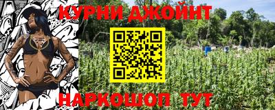 гашик Берёзовский